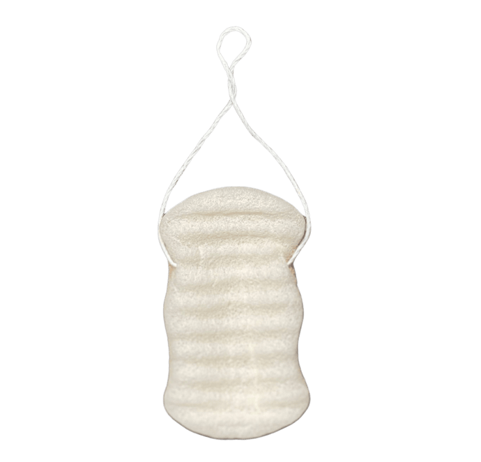 Wildpier™️ Walnut Konjac Body Sponge - Wildpier Beauty